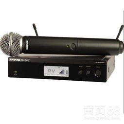 【昌平區銷售shure/舒爾blx24r/sm58專業無線一拖一手持話筒參數】-