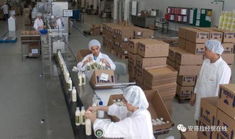 投資1000萬美元的化妝品加工廠在安開業，引領本土美妝產業新格局